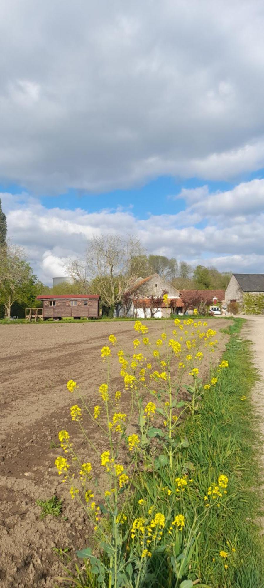 La Ferme De L'Isle Et Sa Roulotte Acomodação com café da manhã Avaray Exterior foto
